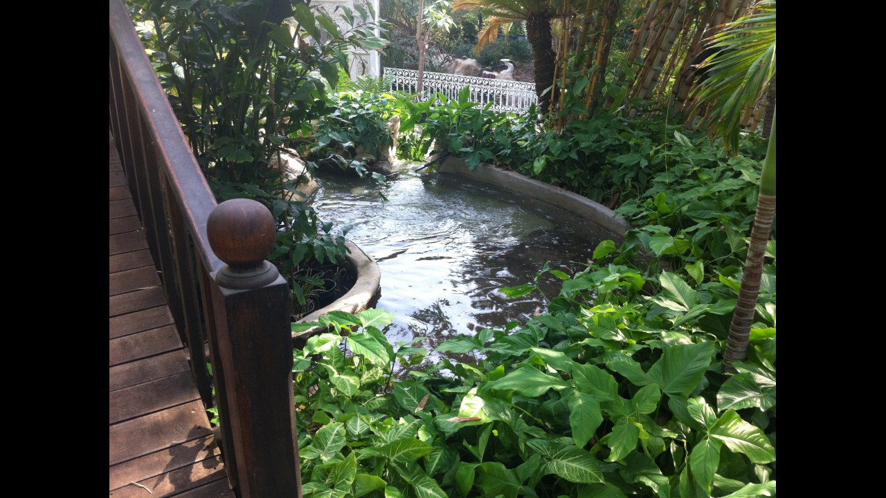 Fountain 3