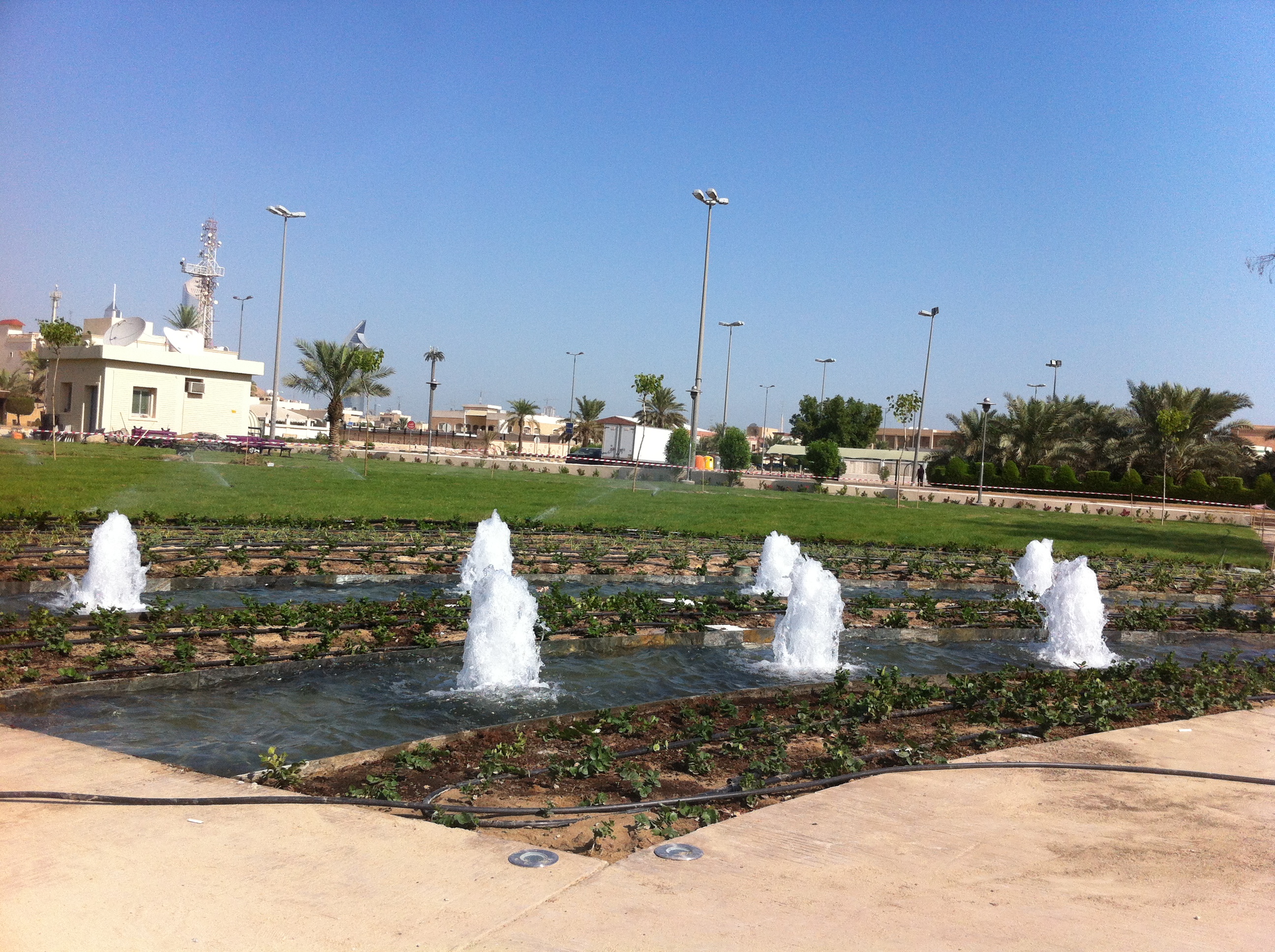 Fountain 6